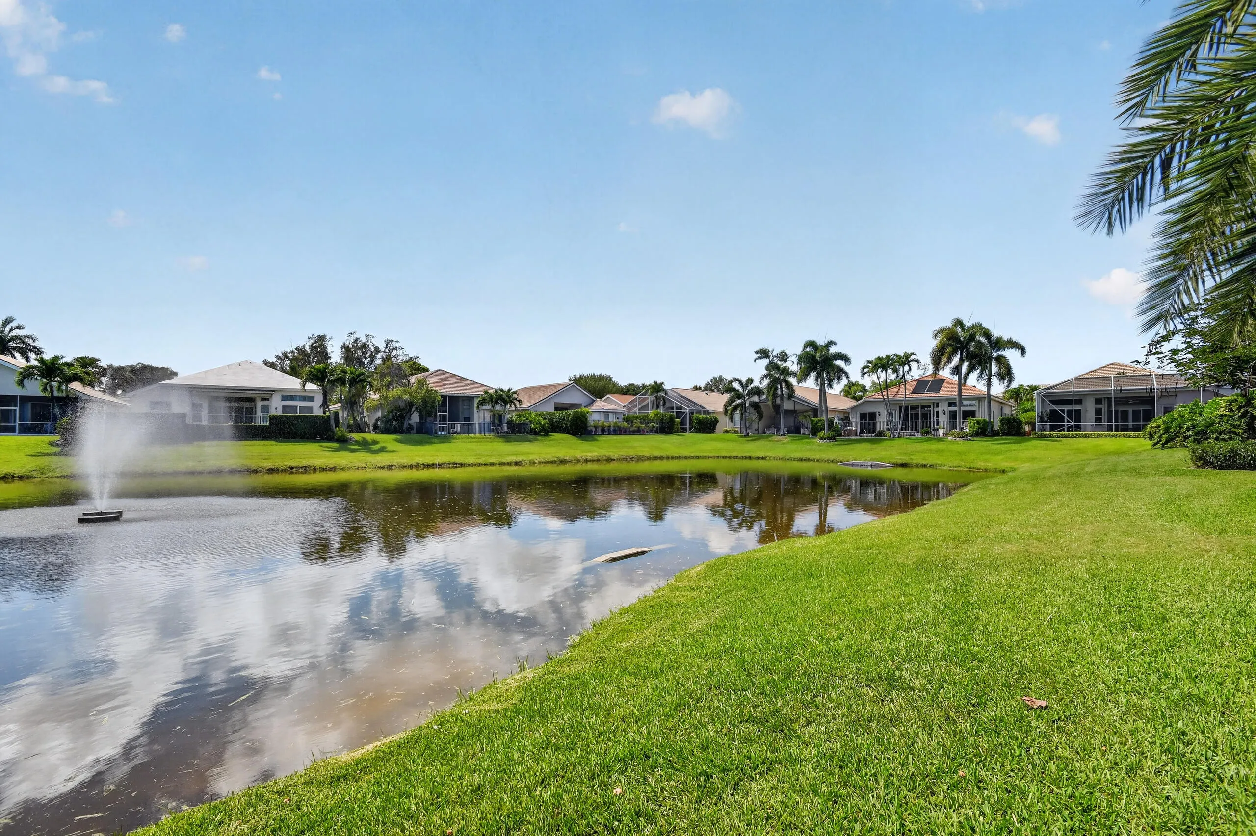 Waterfront Backyard View