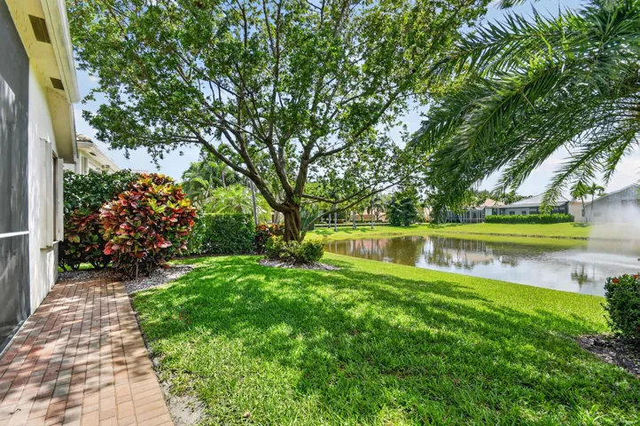 Backyard Patio & Lake View