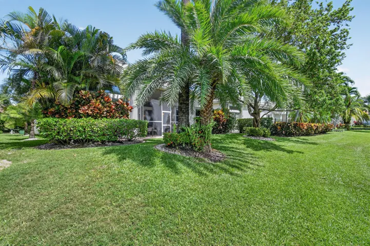 Front Yard & Tropical Landscaping