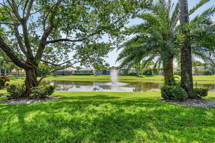 Expansive Lakefront Backyard