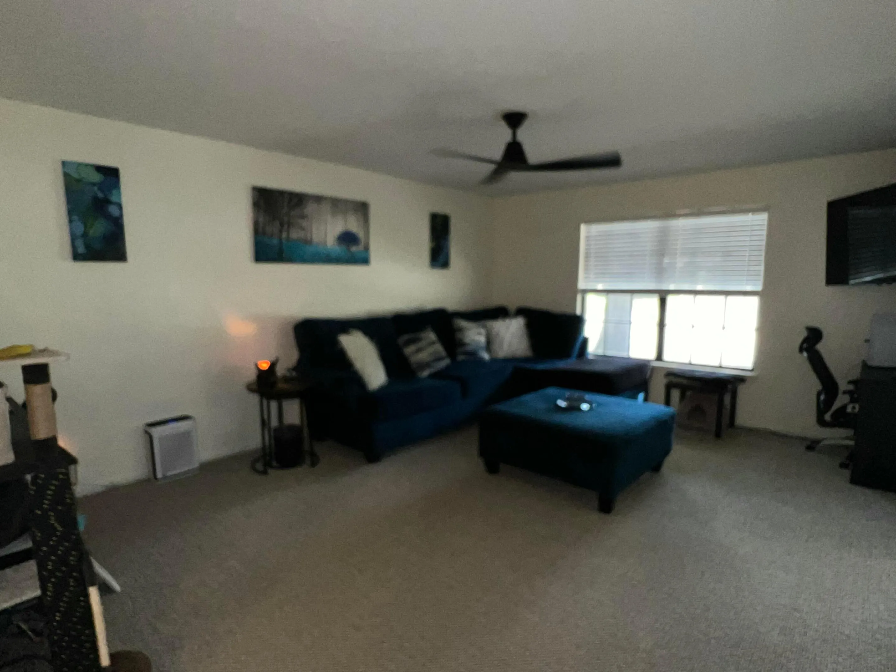 Property photo 35