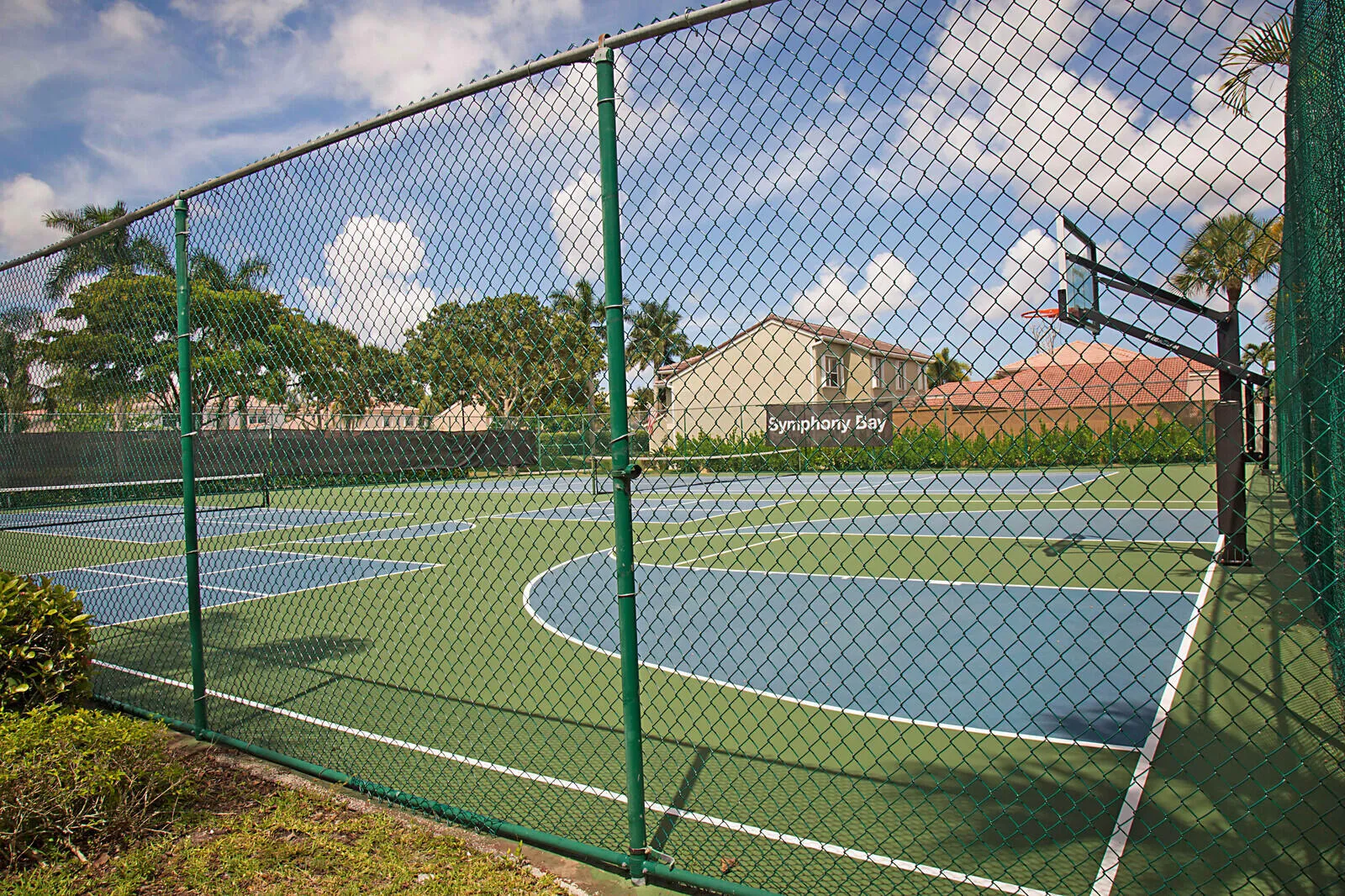 Basketball