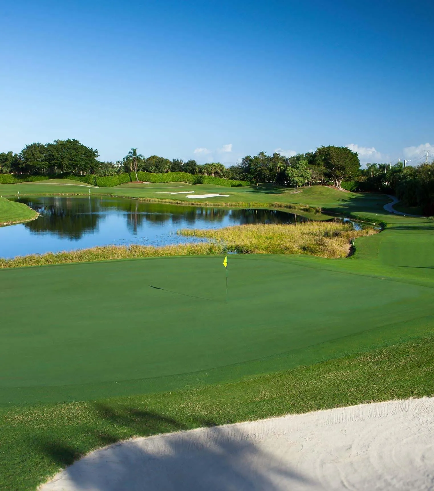 11 Golf Course