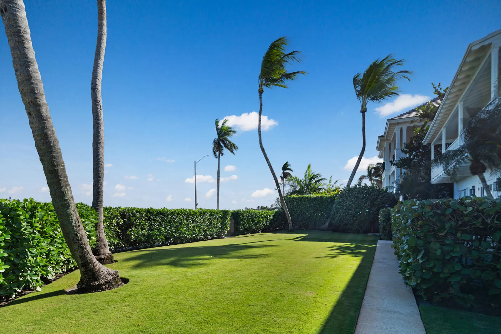 Front Yard