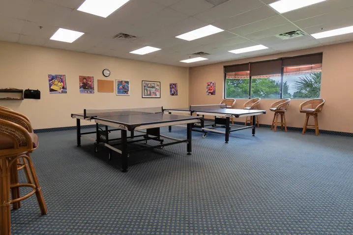 48. Ping Pong