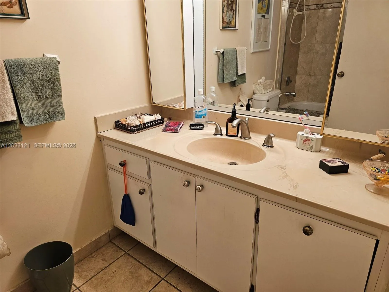 Primary Bath Vanity