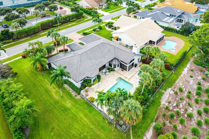 back yard
