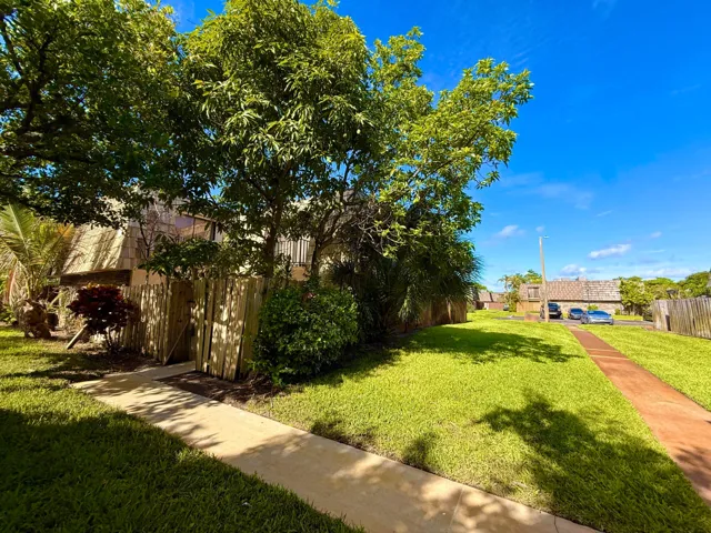 IMG_3835 2