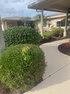 Front Walkway