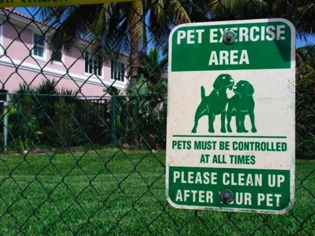DOG PARK