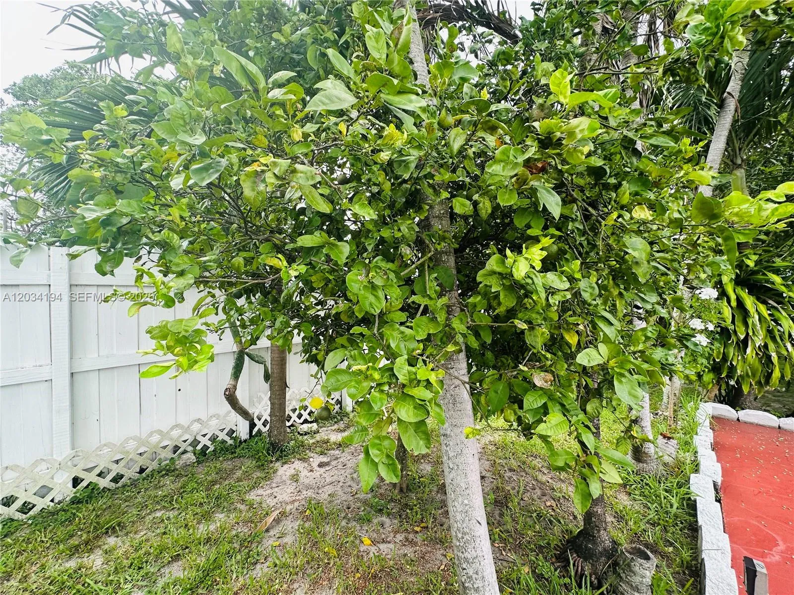 Photo 25