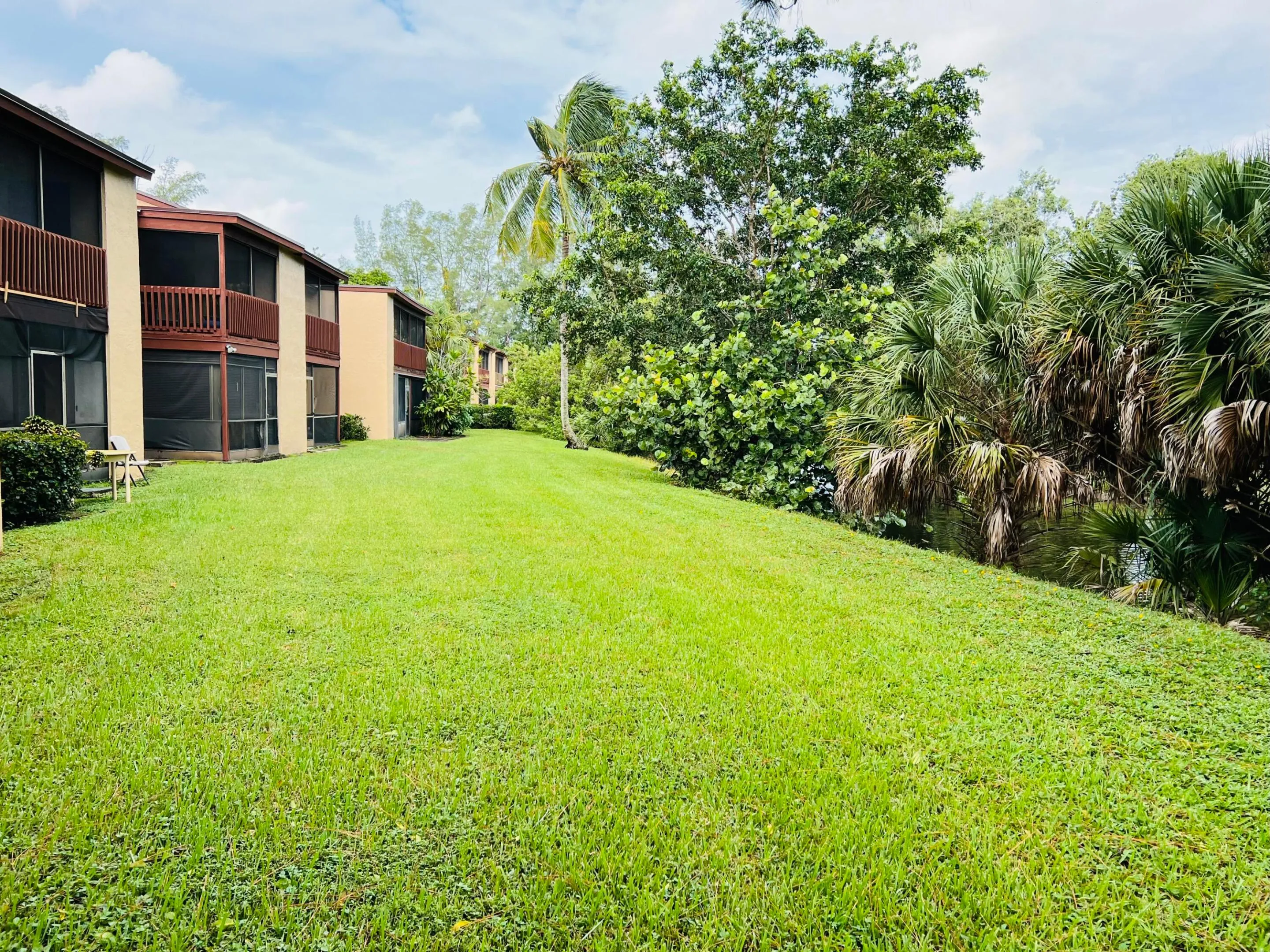 Back view