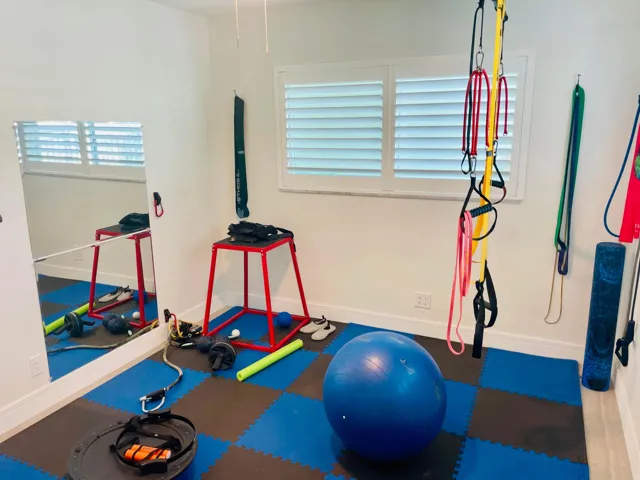 2nd Bedroom or Gym (2)