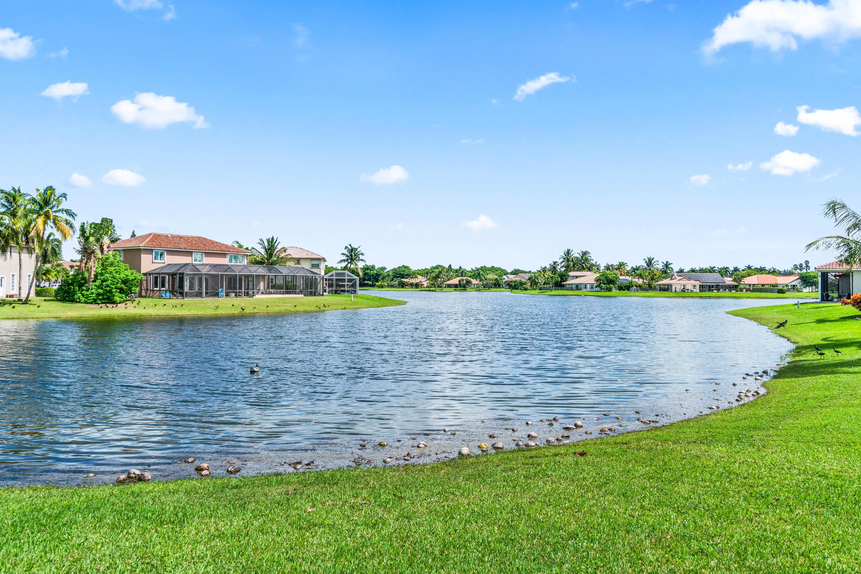 Lake View