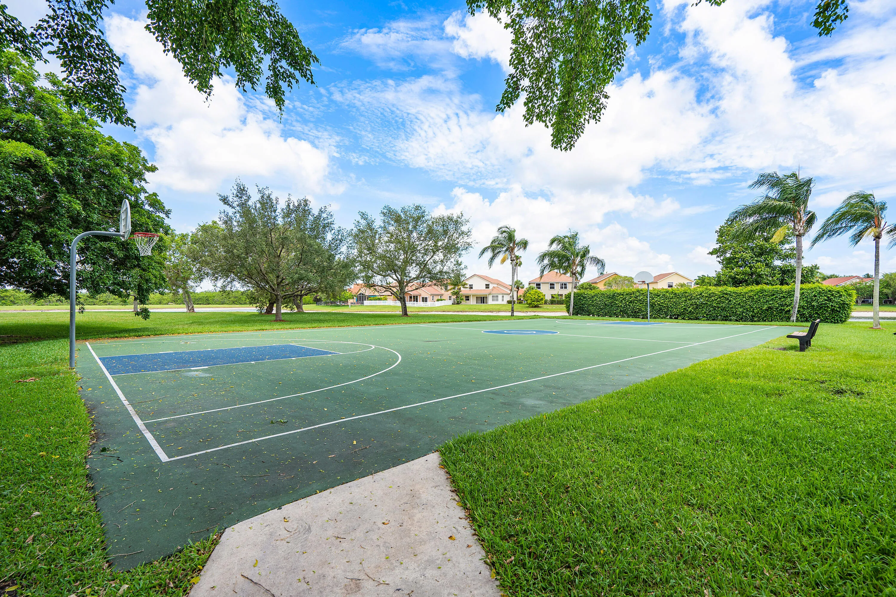 Basketball Court