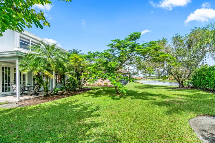 View from Backyard