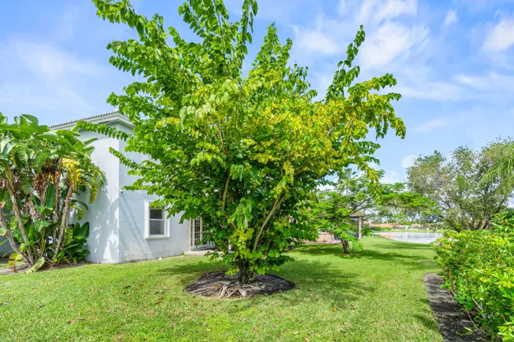 Side Yard