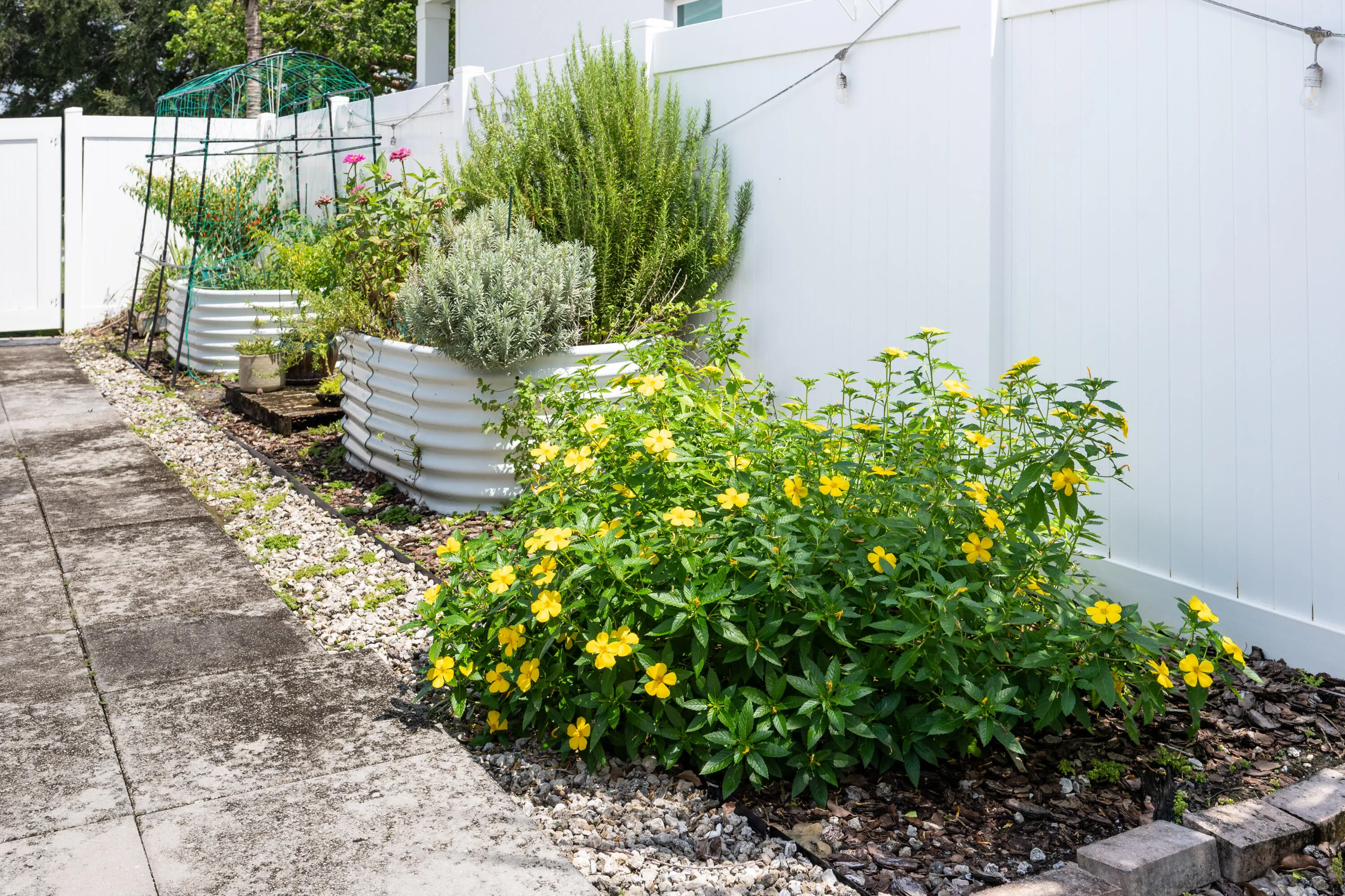 Property photo 56