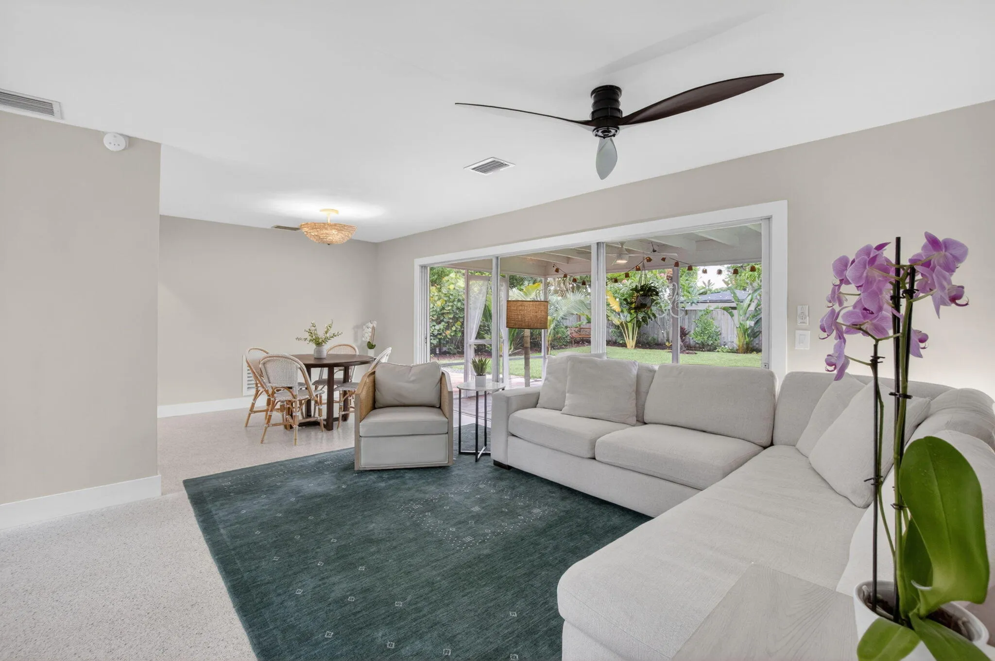 No Carpet