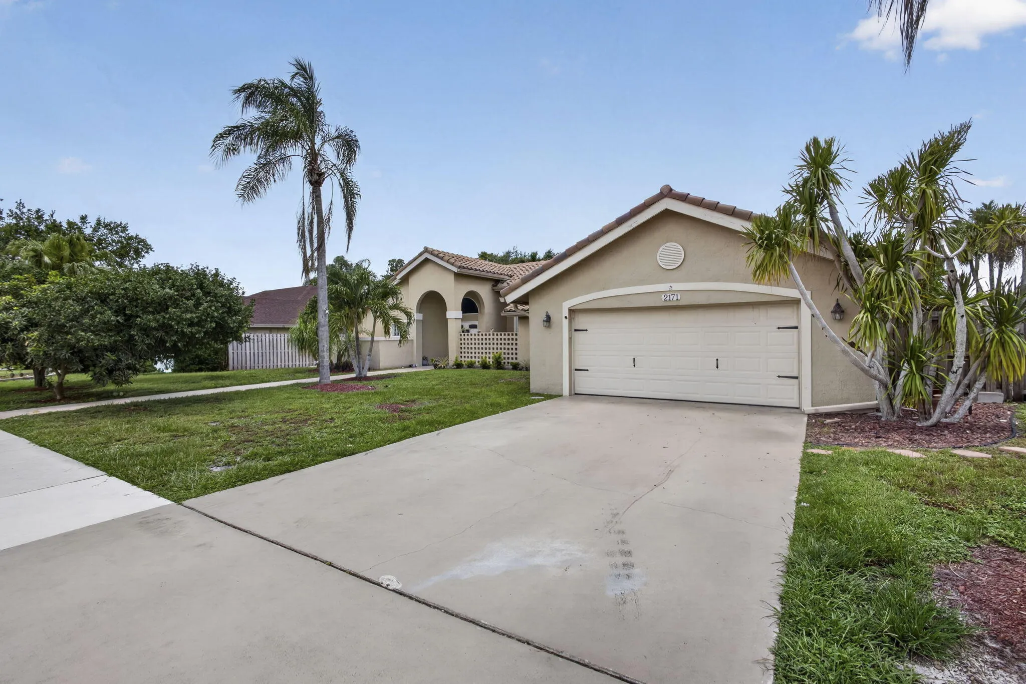 5-web-or-mls-BS1A2117