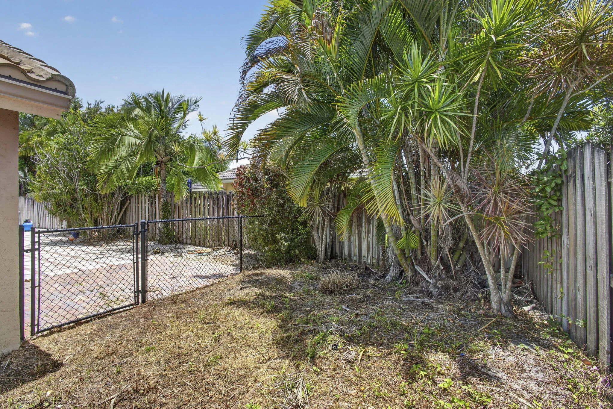 56-web-or-mls-BS1A2062