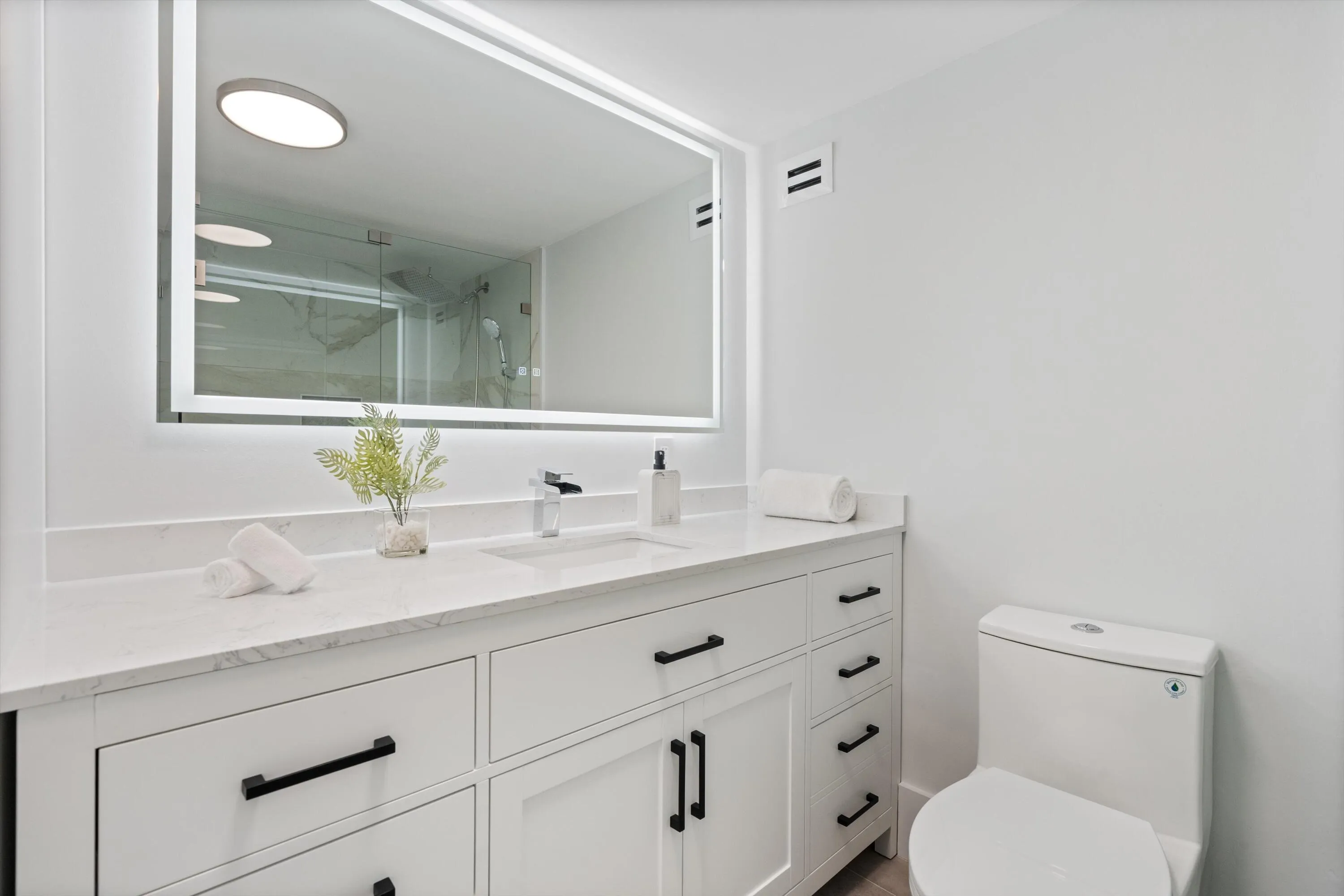 Primary Vanity