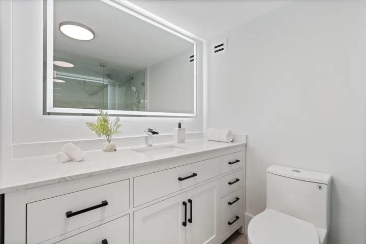 Primary Vanity