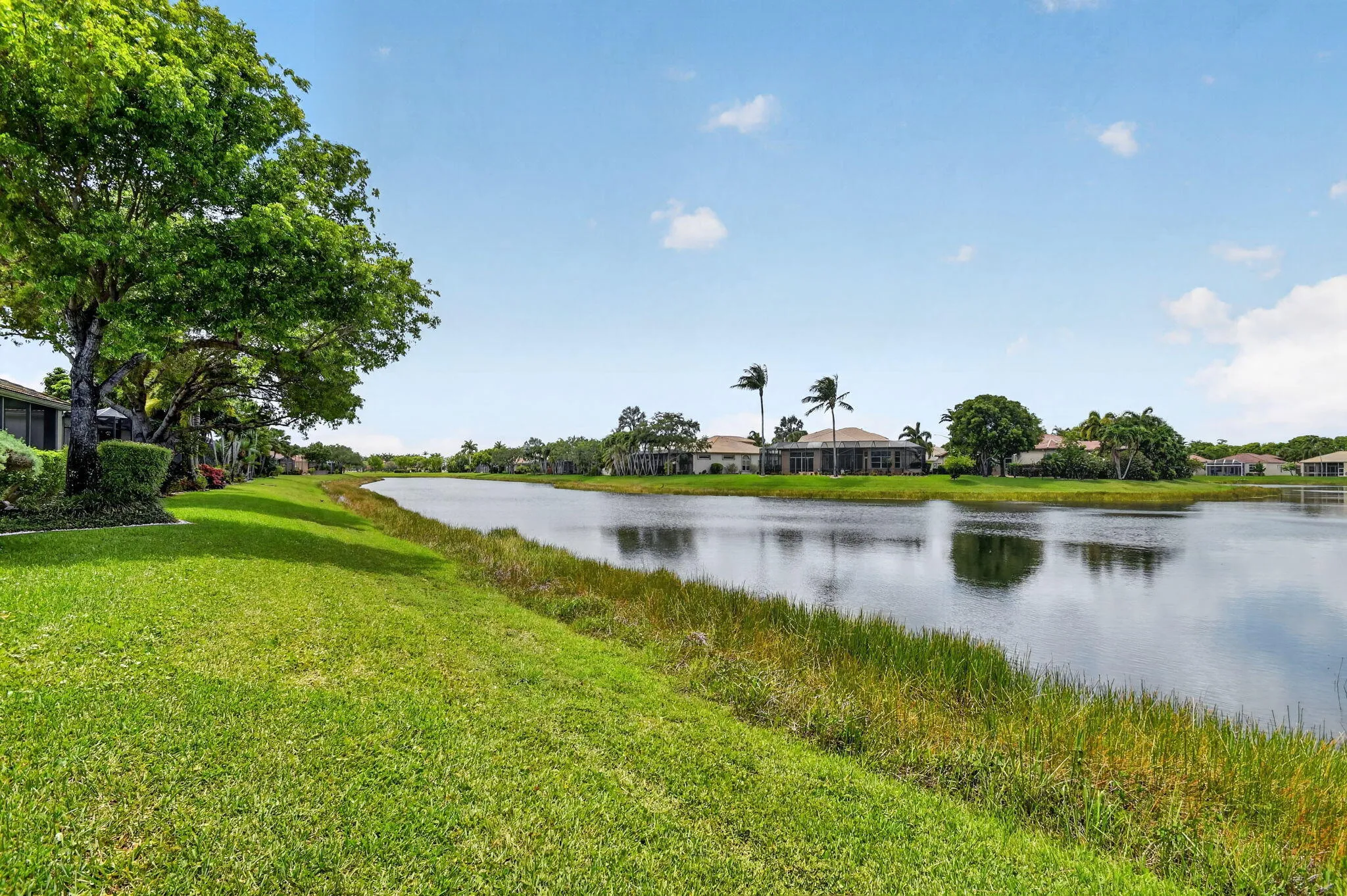 Lake View