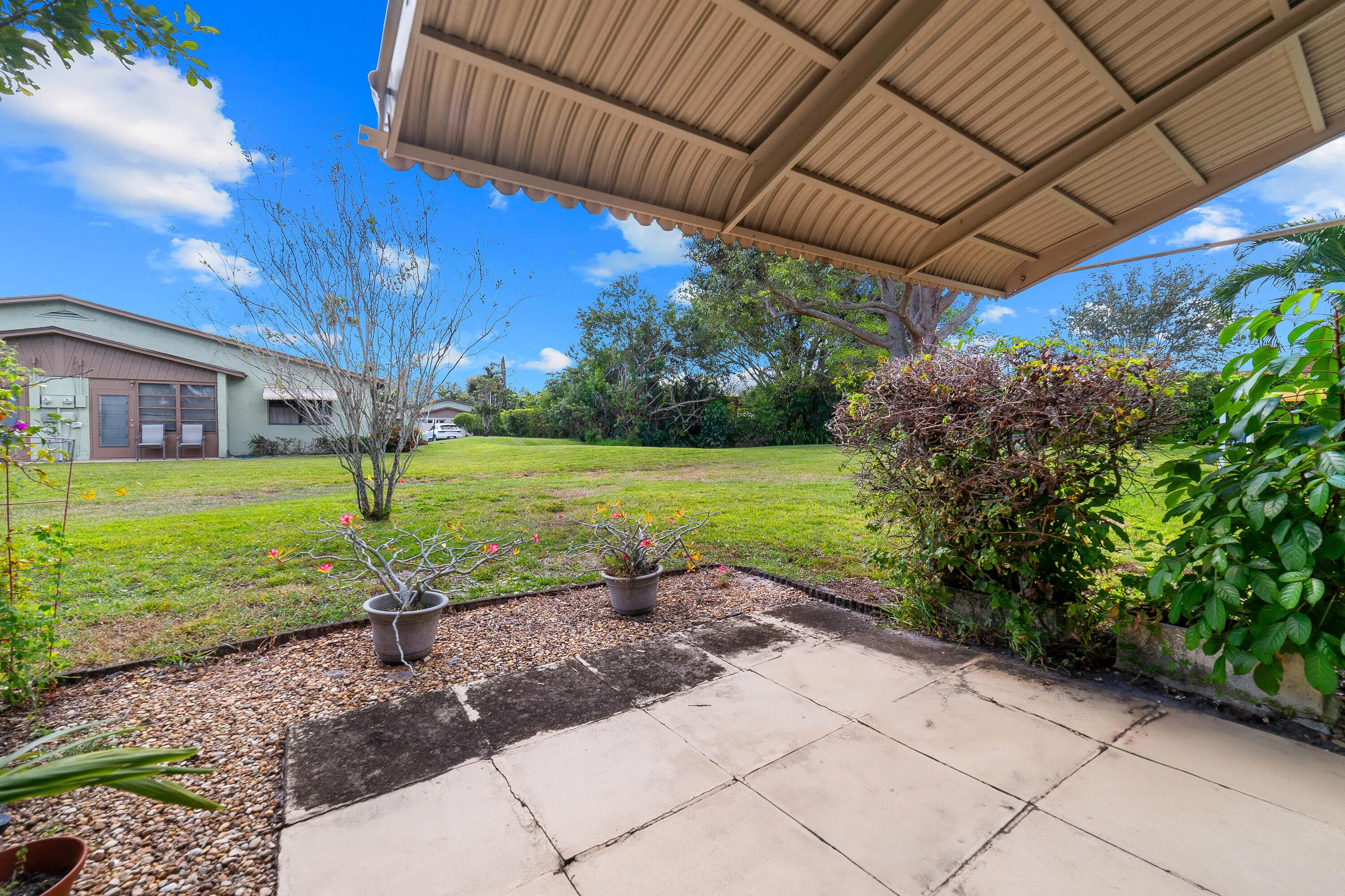 Backyard