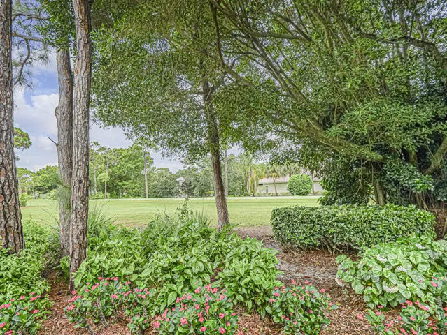 Golf Course View
