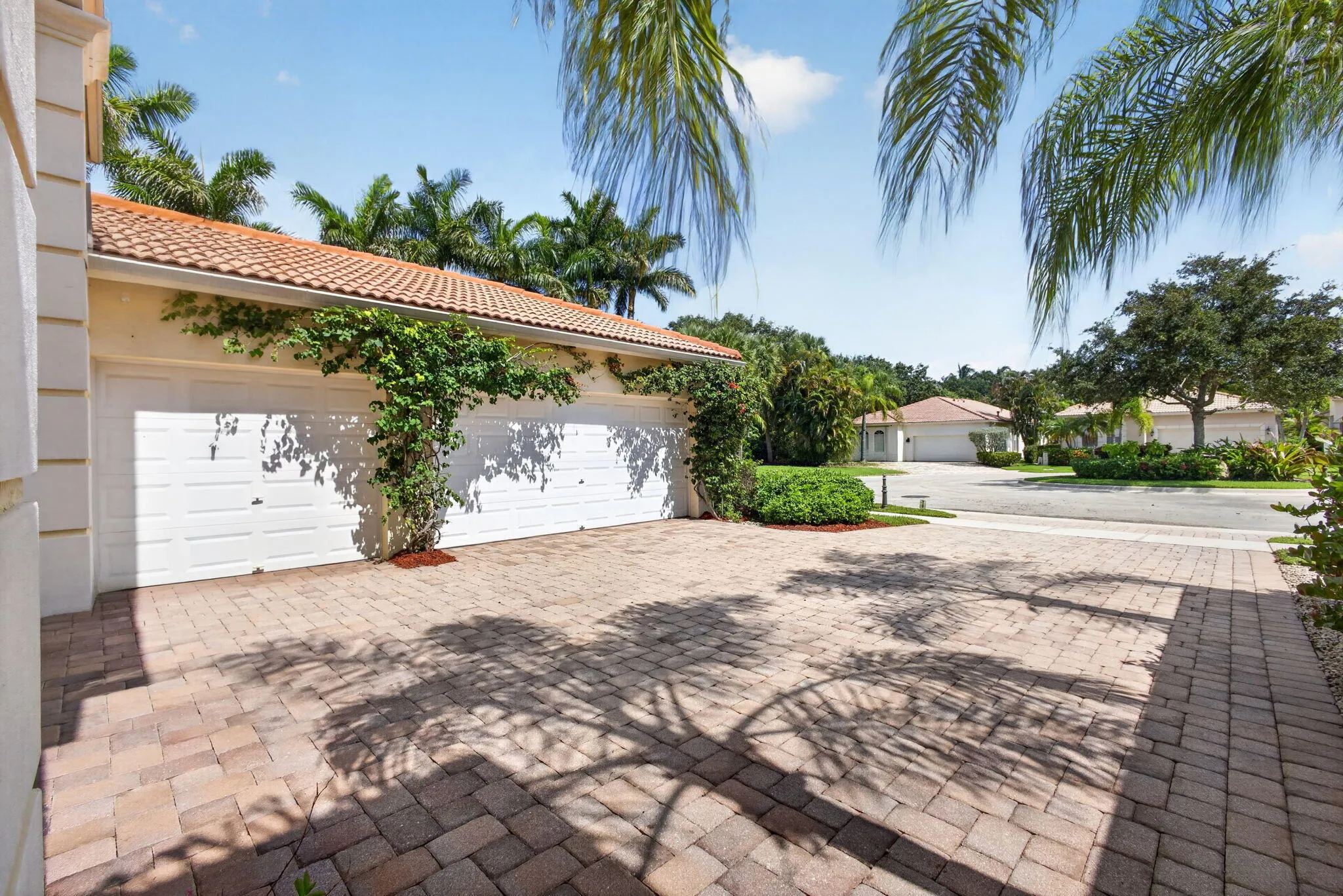 7-web-or-mls-5D1A1307