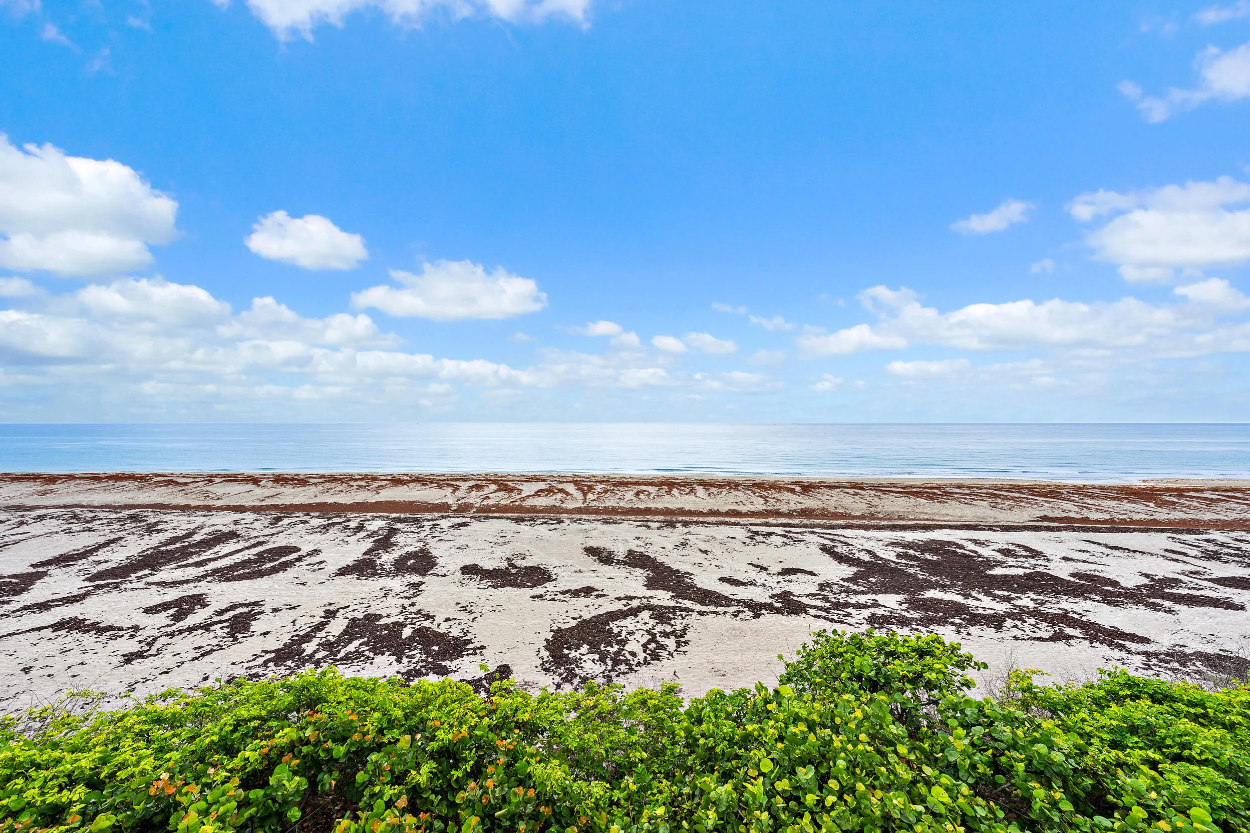Direct Oceanfront Views