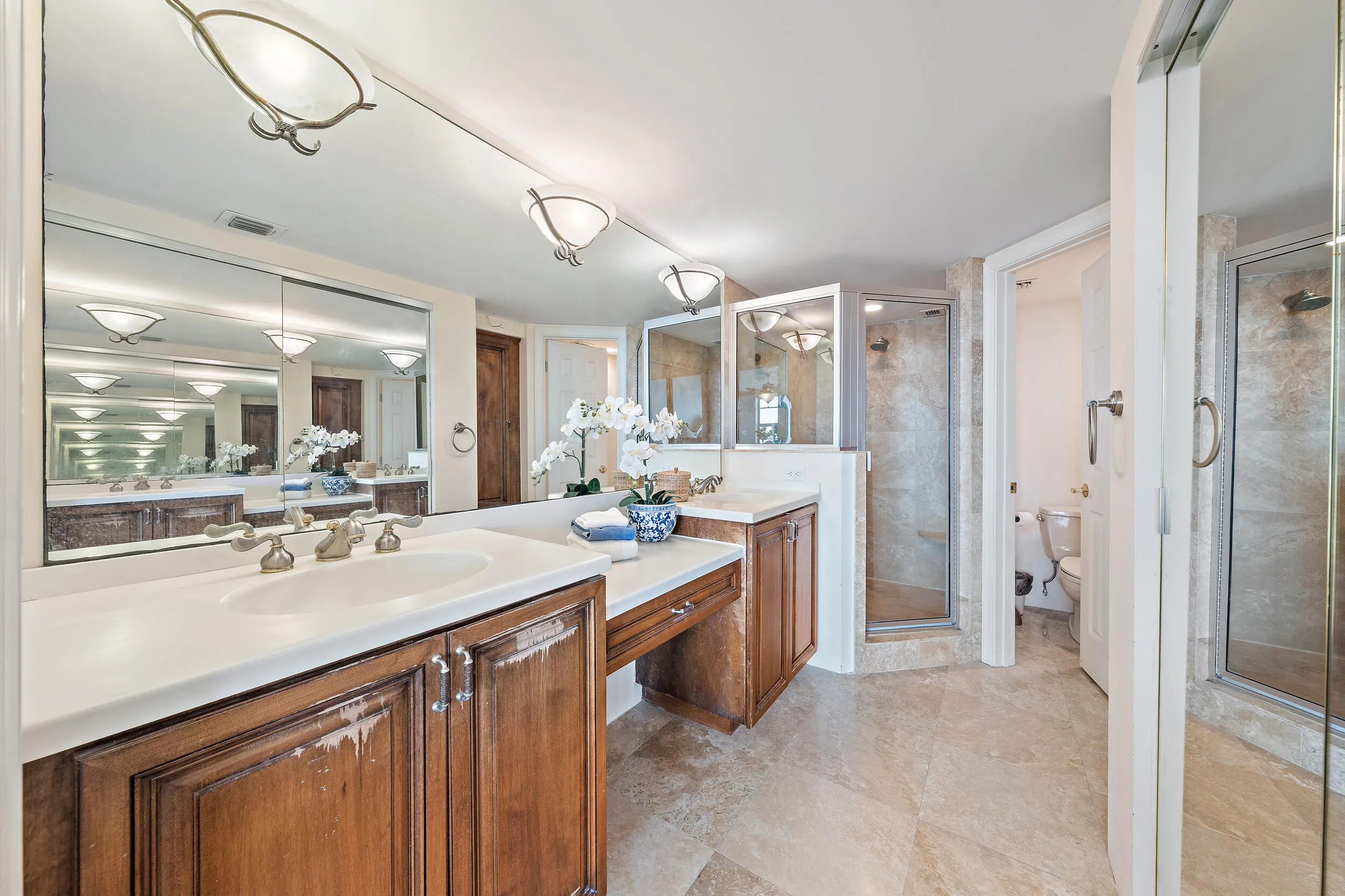 Primary bathroom with large walk-in closet, double sink and separate water closet