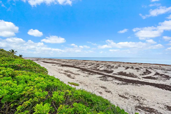 900 Ocean Dr 202-26