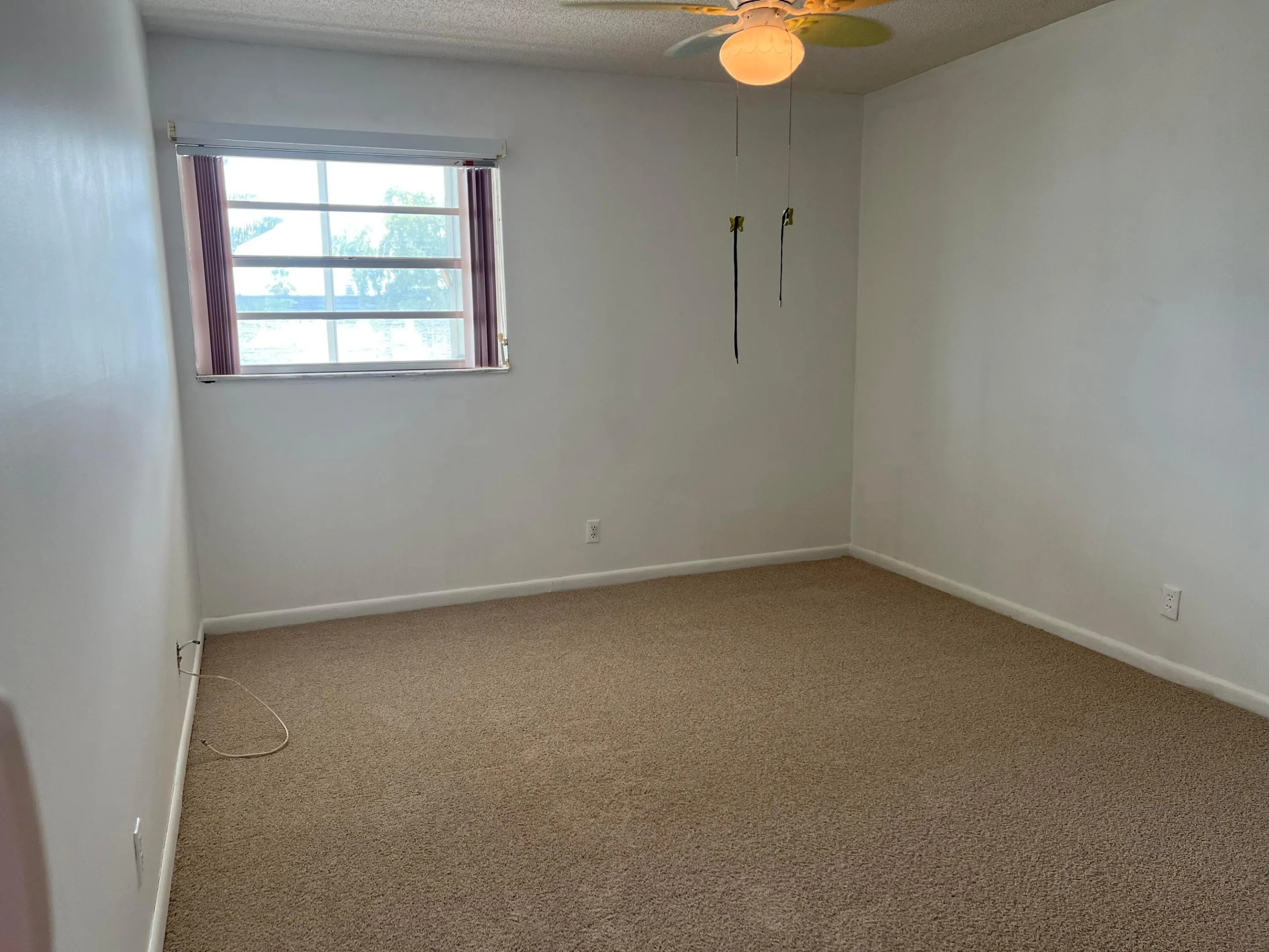 Large room with brand new carpet