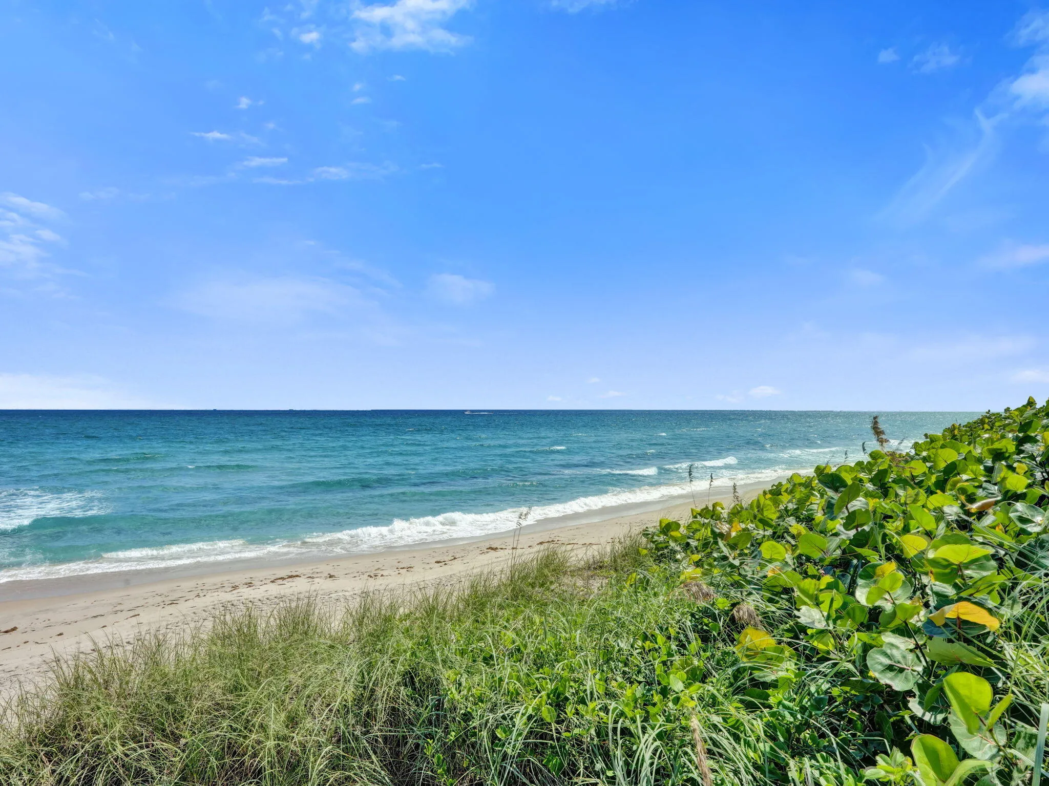 Property photo 61