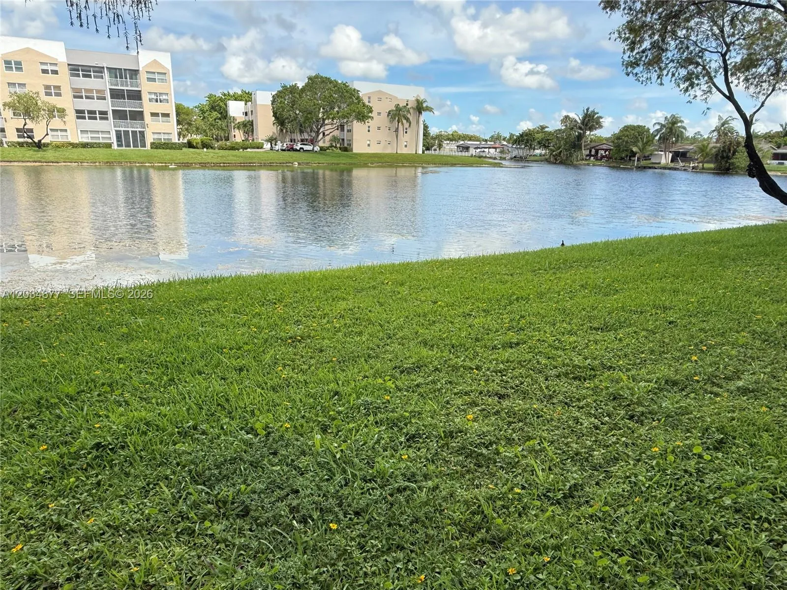 Lake View from Patio