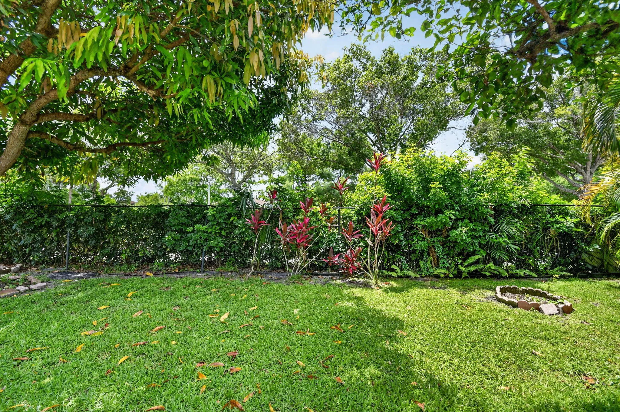 51-web-or-mls-DSC_2116