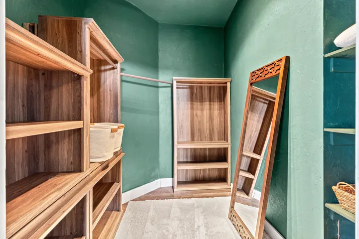 Primary Closet