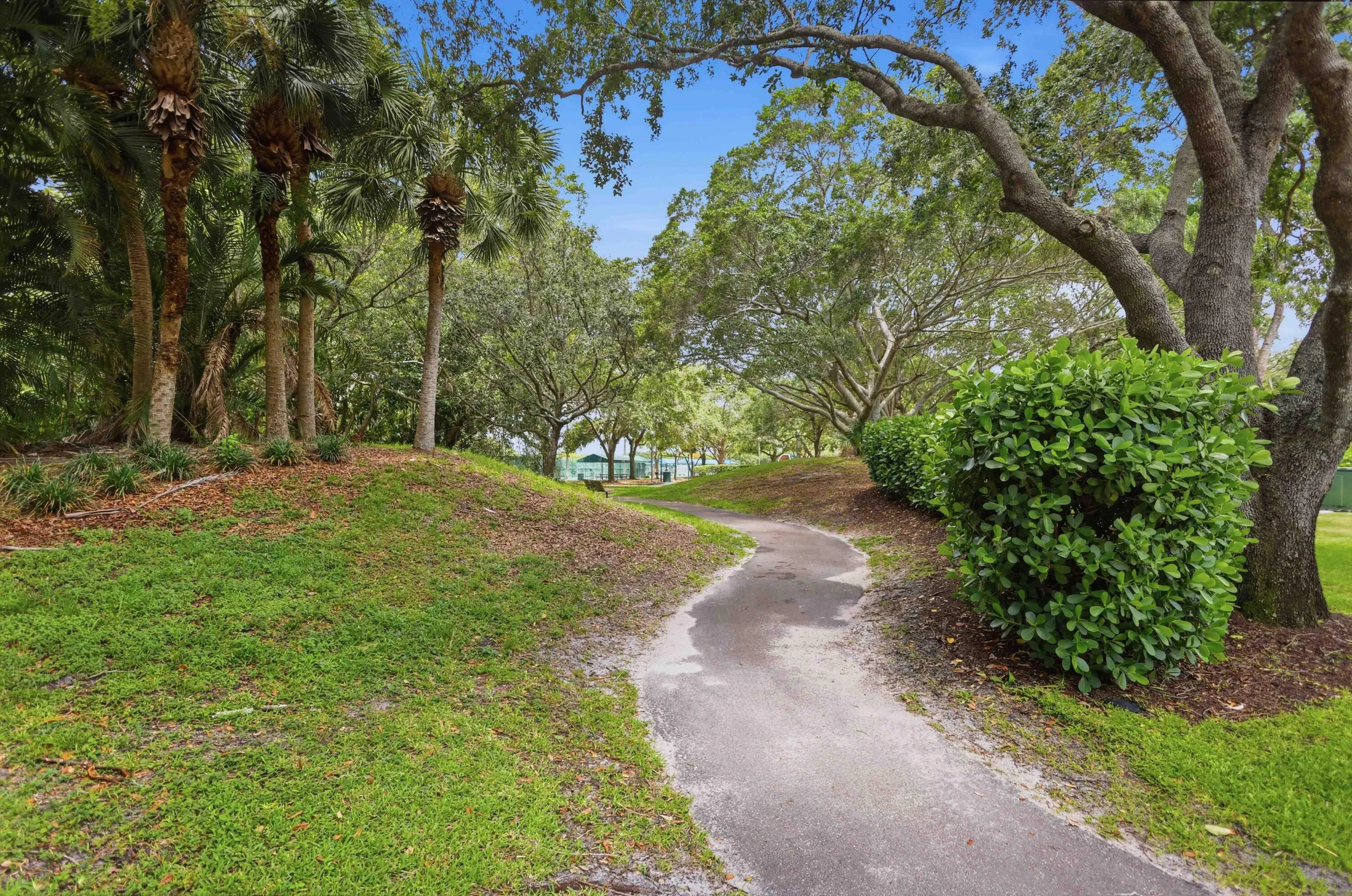Path to Park