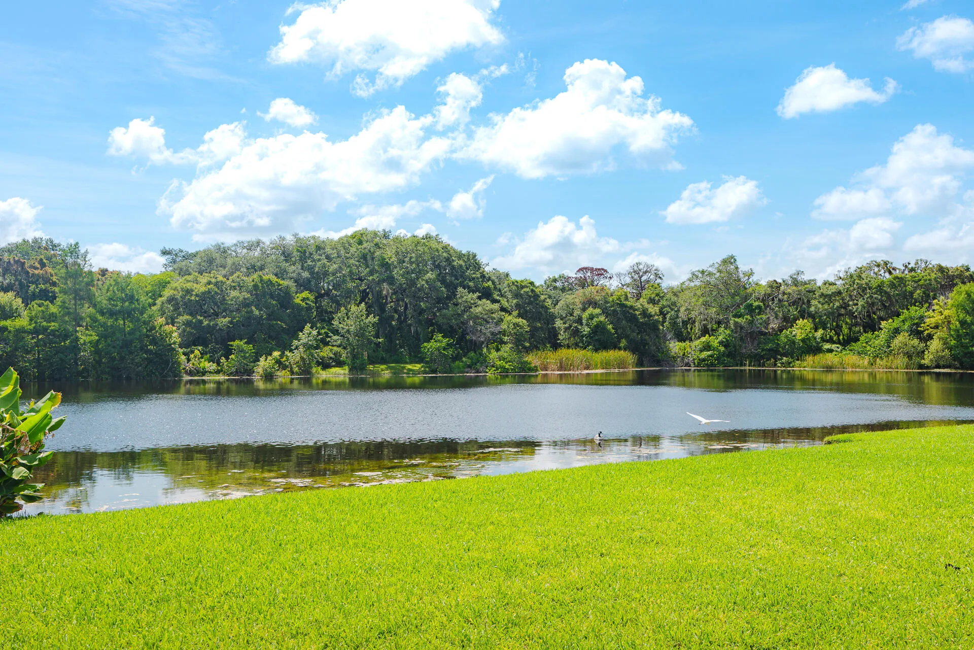 3302RidgeTrace-31