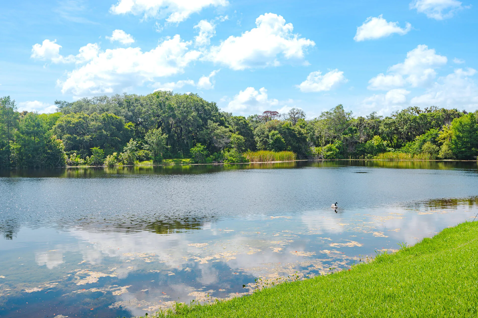 3302RidgeTrace-32