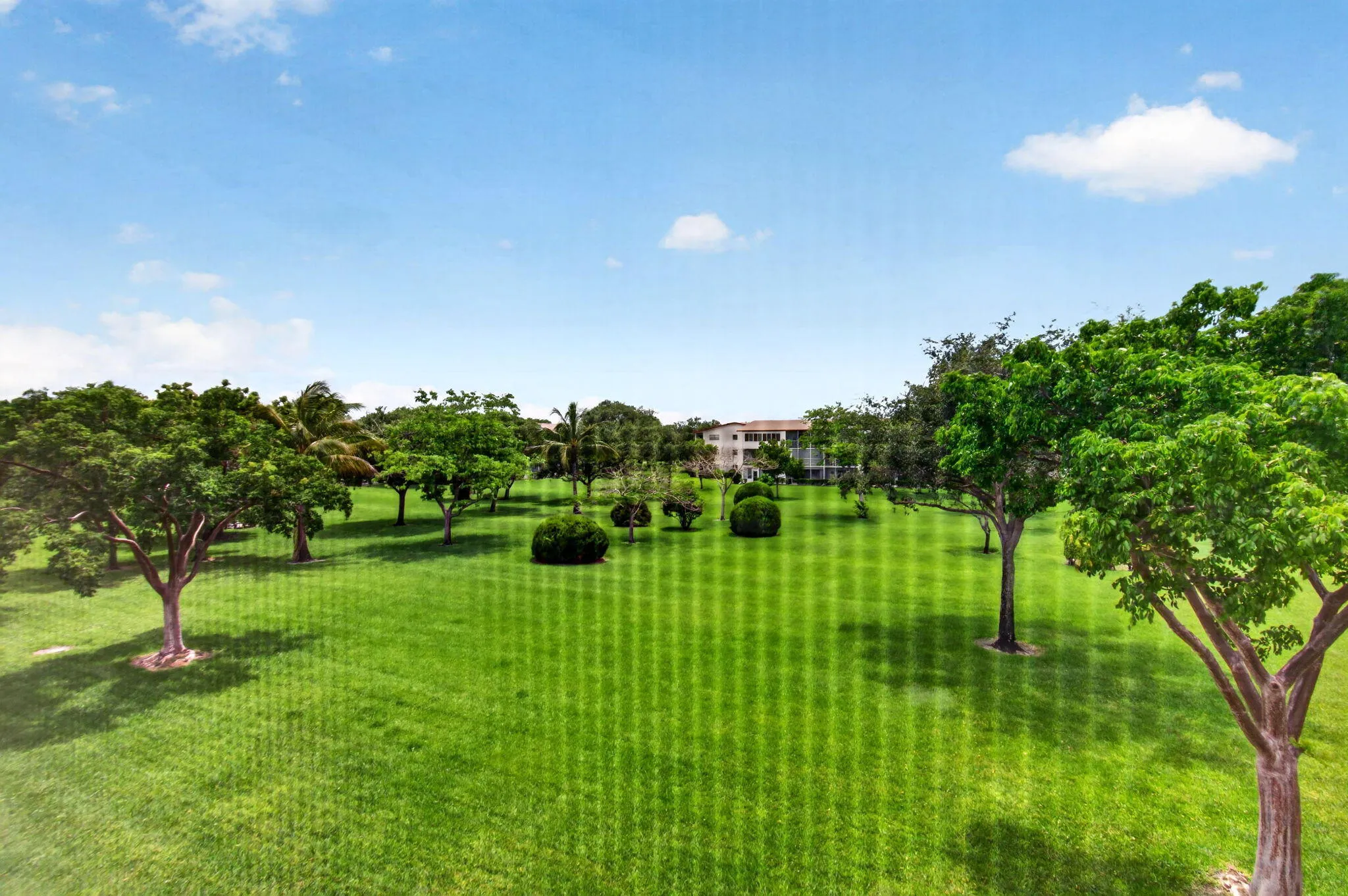 View from the Screened-In Balcony