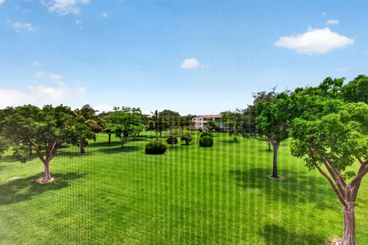View from the Screened-In Balcony