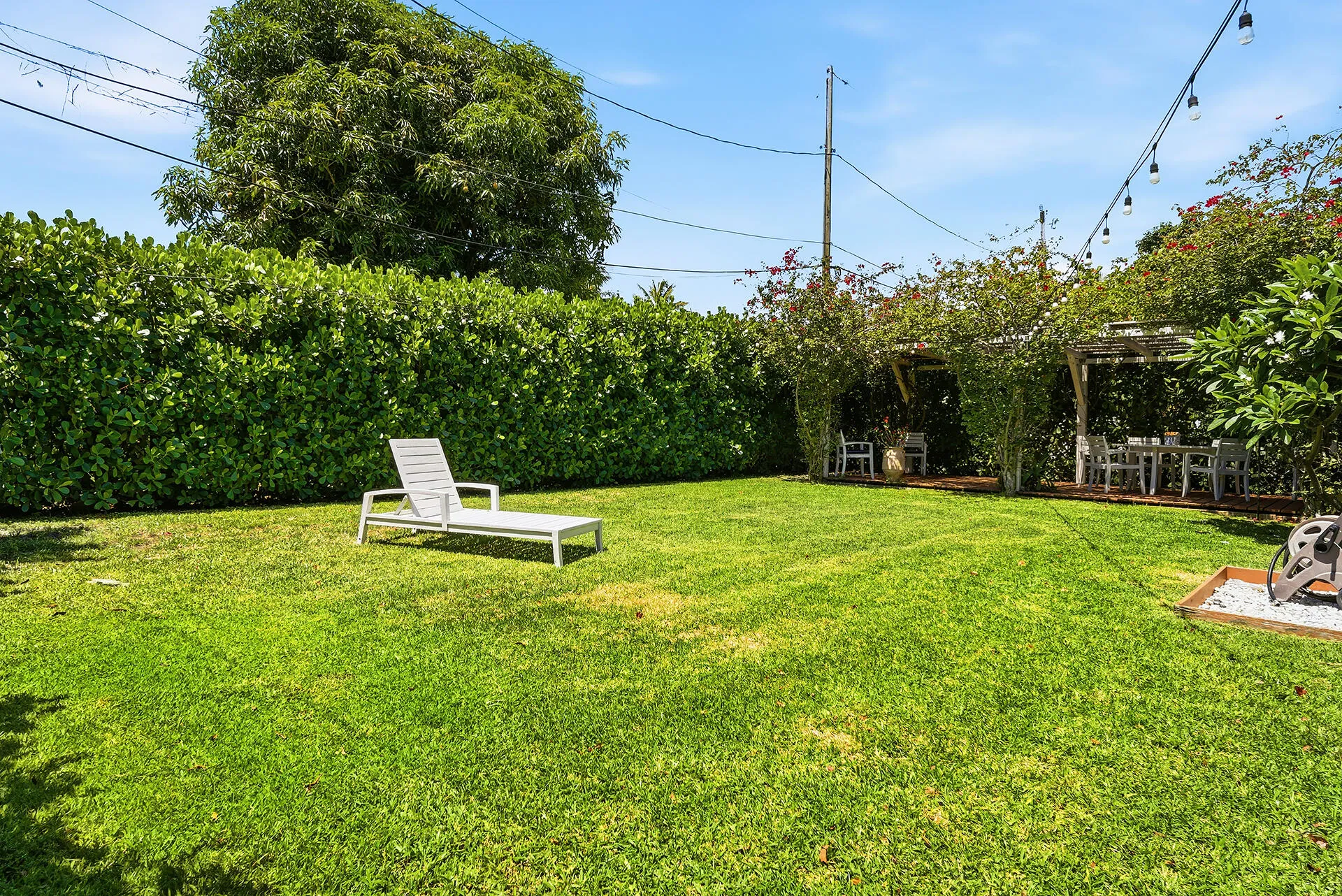 Backyard