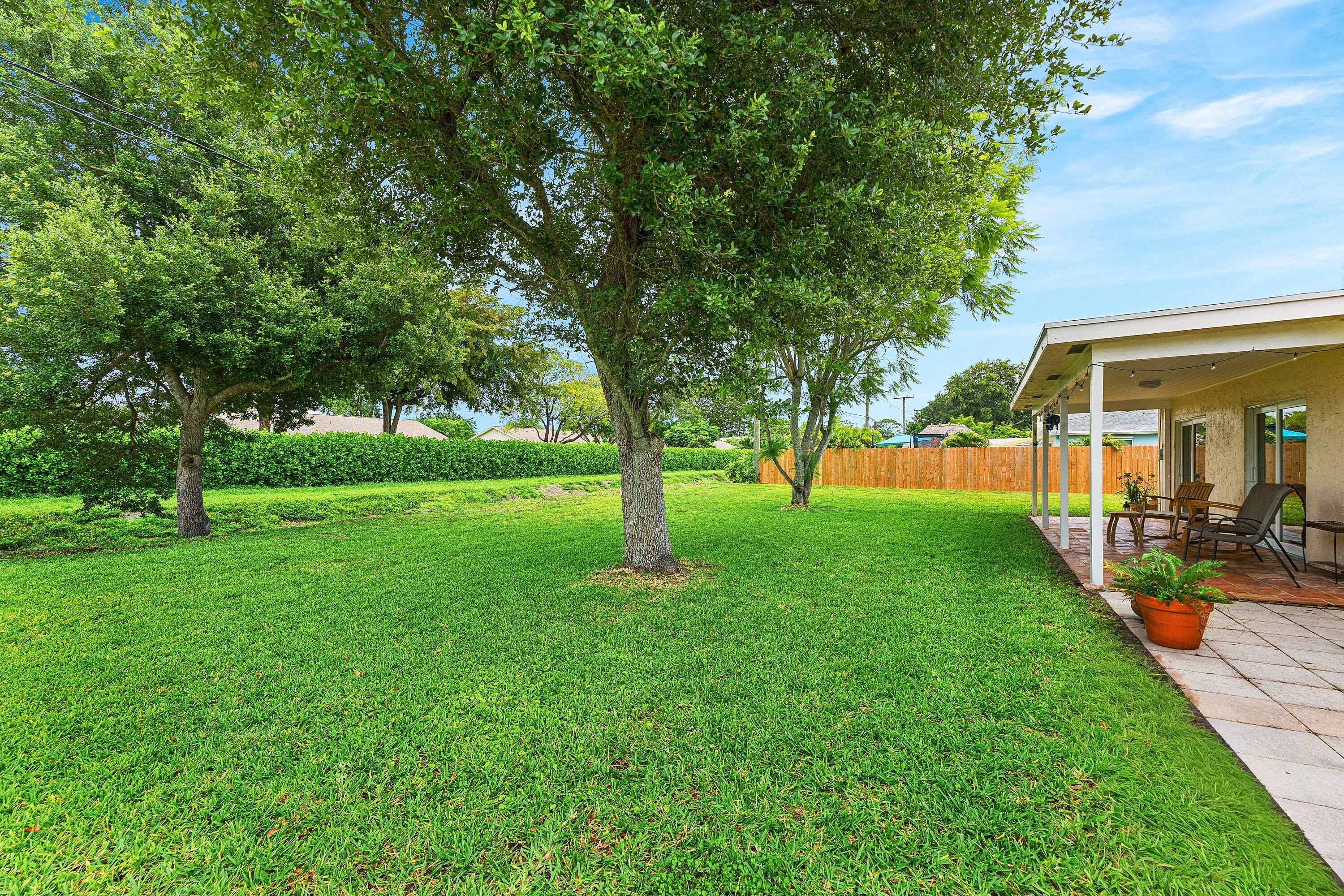 Back Yard