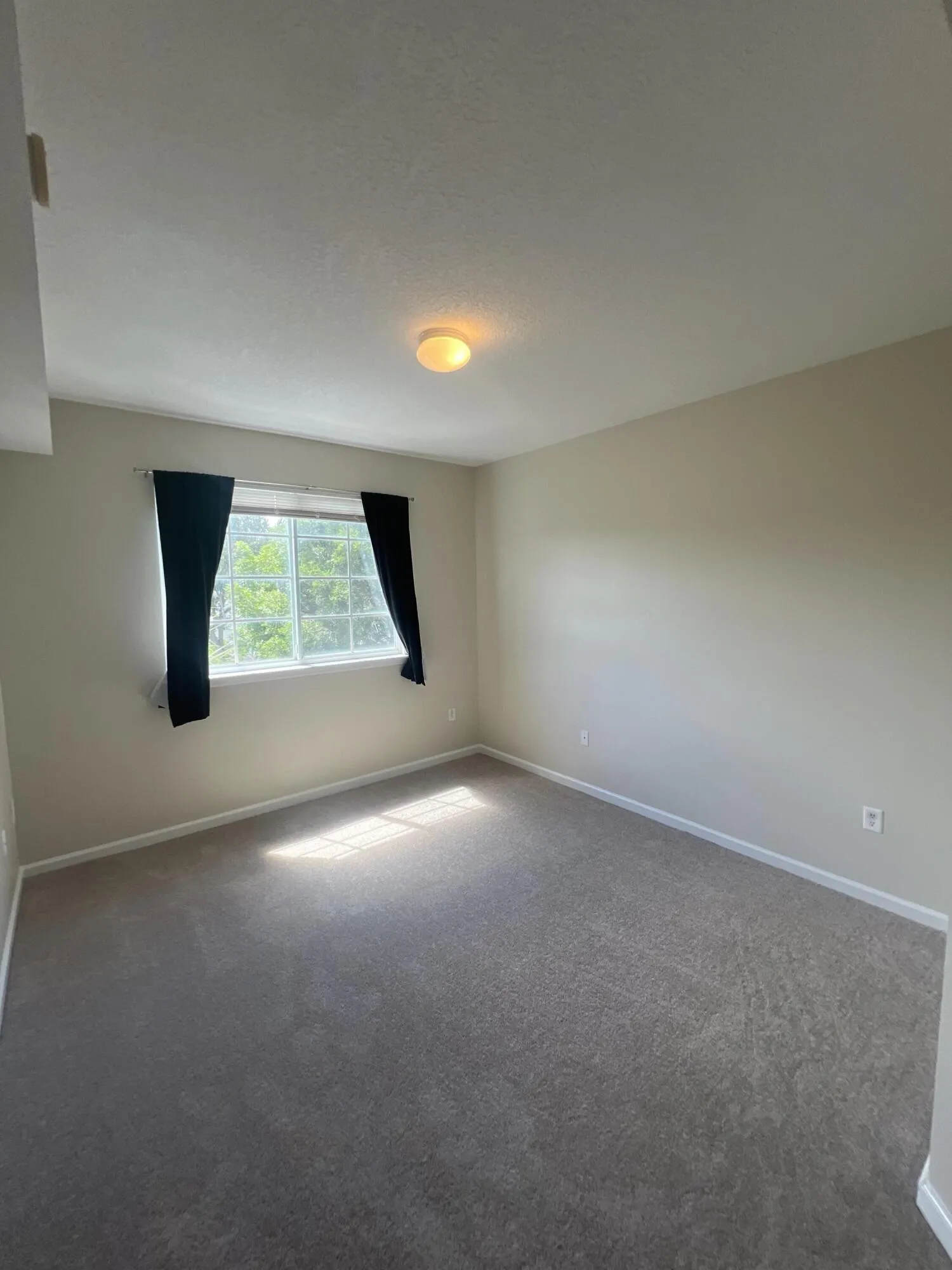Property photo 67