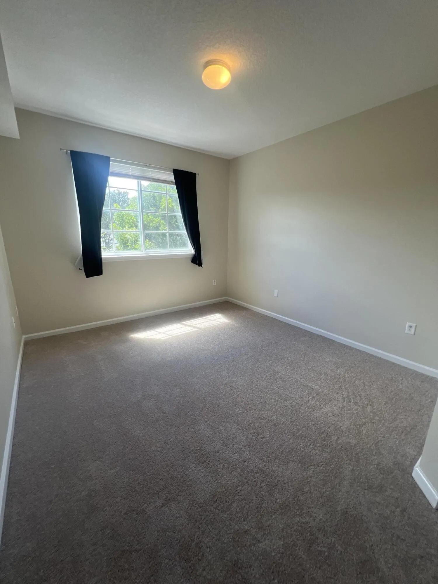 Property photo 66
