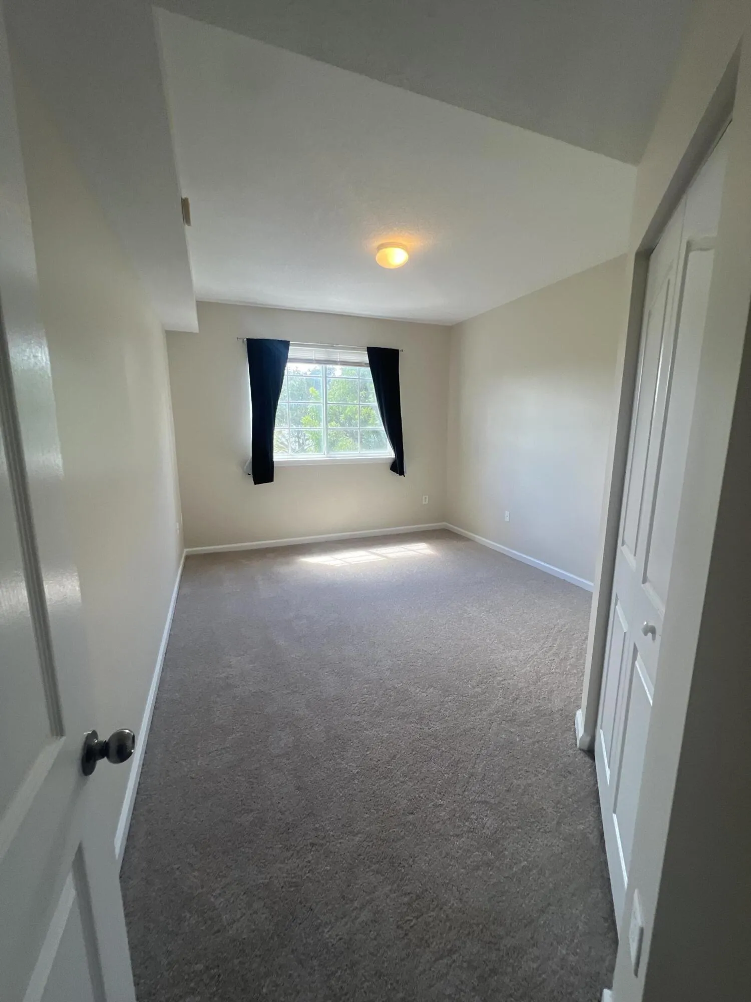 Property photo 65