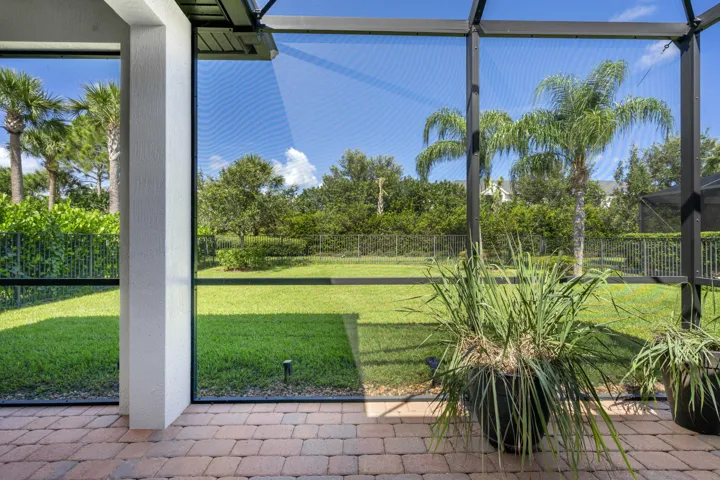 View of Backyard
